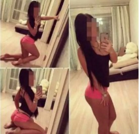 Yaprak8